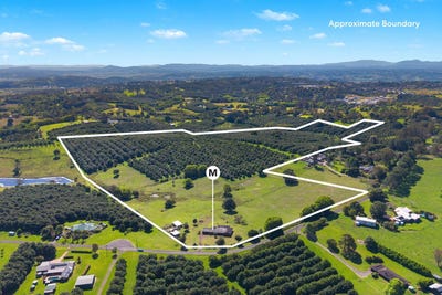 /international/au/45-connor-road-tregeagle-nsw-152623880/