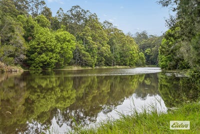 /international/au/895-limpinwood-road-limpinwood-nsw-204677908/