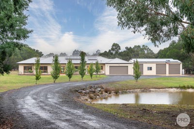 /international/au/74-taemore-close-haddon-vic-150884356/