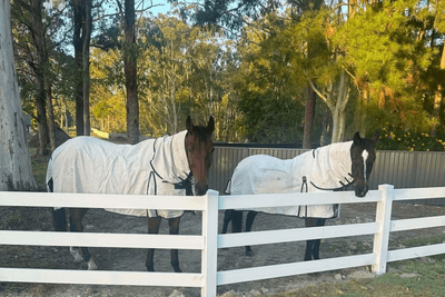 /international/au/lot-5-148-170-chambers-road-woodford-qld-204499240/