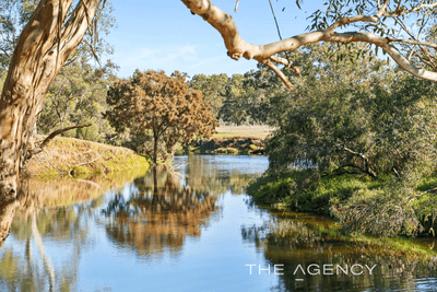 /international/au/53-river-road-herne-hill-wa-151264468/