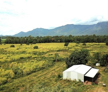 /international/au/lot-9-milanesio-road-kennedy-qld-700402088/