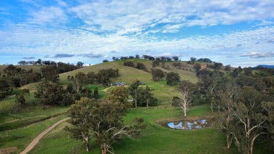 /international/au/-stangard-103-old-hwy-road-blandford-nsw-700405564/
