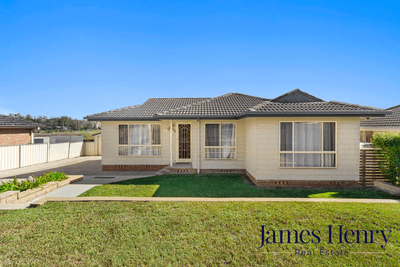 /international/au/42-michael-hill-ave-woodberry-nsw-151166708/