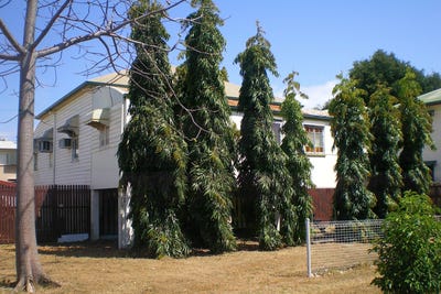 /international/au/45-davidson-street-south-townsville-qld-148654820/?lang=zh-cn