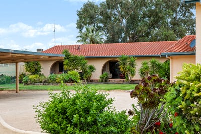 /international/au/8-86-nookamka-terrace-barmera-sa-152683800/