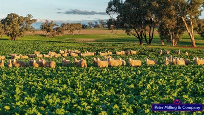 /international/au/924-eulalie-lane-arthurville-nsw-700412344/