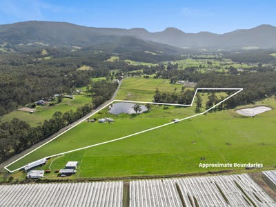 /international/au/146-mountain-river-road-grove-tas-152449912/