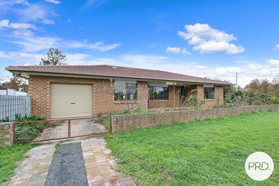 /international/au/41-vine-street-holbrook-nsw-151372124/