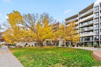 /international/au/203-47-currong-street-braddon-act-151194136/