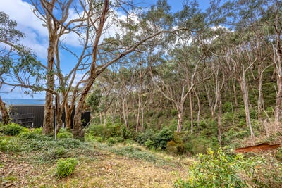 /international/au/4c-tradewinds-avenue-lorne-vic-204508348/