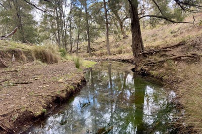 /international/au/lot-65-4780-ilford-sofala-road-sofala-bathurst-nsw-700407656/