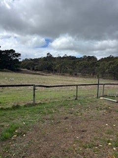 /international/au/8-childs-road-mount-barker-sa-204493276/