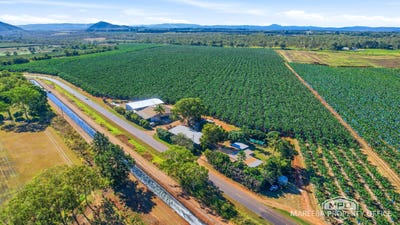 /international/au/292-channel-road-walkamin-qld-700410920/