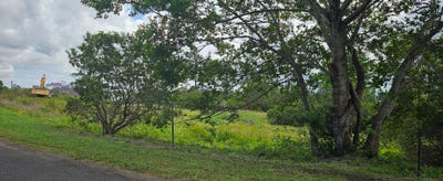 /international/au/lot-1-albert-street-monkland-qld-204634100/