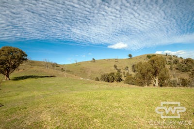 /international/au/lot-21-halls-creek-road-bendemeer-nsw-700412112/