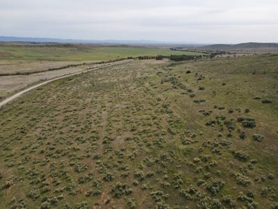 /international/au/lot-98-crocker-hill-road-pekina-sa-700406020/