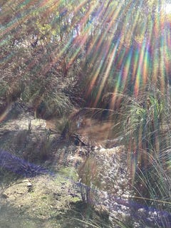 /international/au/1-harriet-road-newland-sa-700368992/?lang=zh-cn