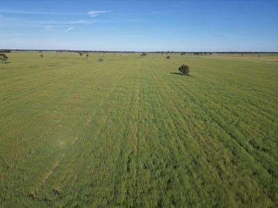 /international/au/-yarrandale-driftway-road-caragabal-nsw-700425696/