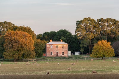 /international/au/179-donnellans-road-millbrook-vic-151513296/