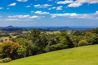 /international/au/353-flaxton-drive-flaxton-qld-204476884/