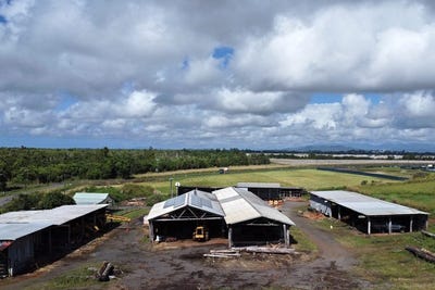 /international/au/339-flying-fish-point-road-eaton-qld-151075512/