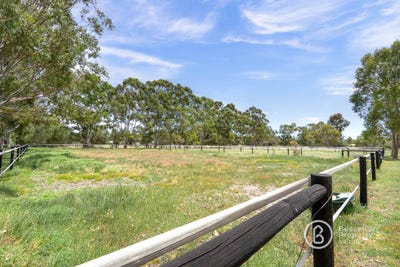 /international/au/vasse-wa-204423676/