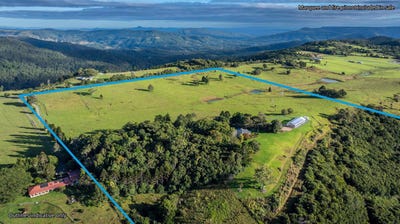 /international/au/1339-beechmont-road-beechmont-qld-700408892/