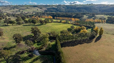 /international/au/-the-grove-635-grove-creek-road-trunkey-creek-nsw-700408244/