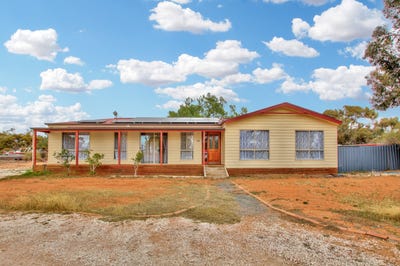 /international/au/42-curtis-road-waikerie-sa-148585988/