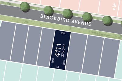 /international/au/4111-blackbird-ave-warnervale-nsw-204665484/