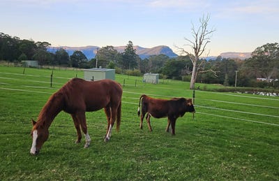 /international/au/60-mount-scanzi-road-kangaroo-valley-nsw-148356480/?lang=zh-tw