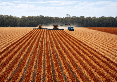 /international/au/30286-cunningham-highway-goondiwindi-qld-700408136/
