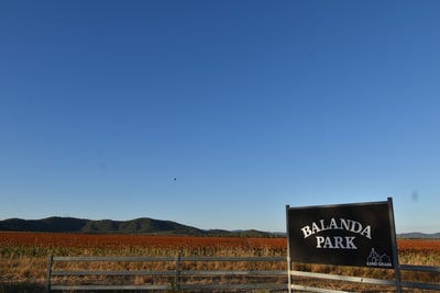 /international/au/624-heatley-road-kirknie-qld-700412960/