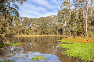 /international/au/97-glenthorne-road-glenthorne-nsw-148610092/