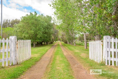/international/au/67-lockville-road-wonnerup-wa-152571104/