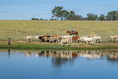 /international/au/400-rickertt-road-johnstown-qld-700423000/