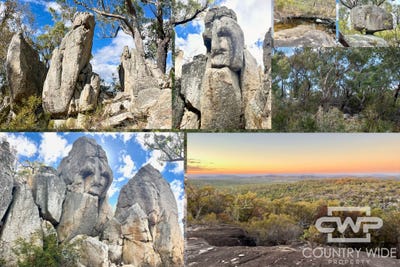 /international/au/1478-silent-grove-road-torrington-nsw-700427256/