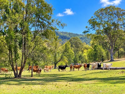 /international/au/2310-amamoor-creek-road-amamoor-creek-qld-204642756/
