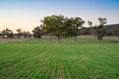 /international/au/-tullatoola-798-packham-drive-molong-nsw-700407328/