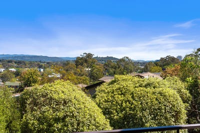 /international/au/45-1-wilkins-street-mawson-act-152495228/