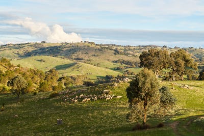 /international/au/254-fernhills-road-sheans-creek-vic-700415328/