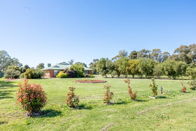 /international/au/13-berrybank-drive-swan-hill-vic-152558592/