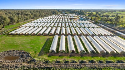 /international/au/620-river-road-murchison-north-vic-700369672/?lang=fr