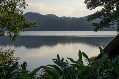 /international/au/207-narrows-road-north-maleny-qld-145113812/