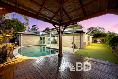 /international/au/4-tamarillo-fig-tree-circuit-narangba-qld-151533876/