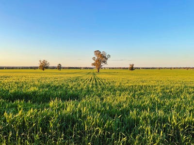 /international/au/2294-lockhart-the-rock-road-the-rock-nsw-700355948/