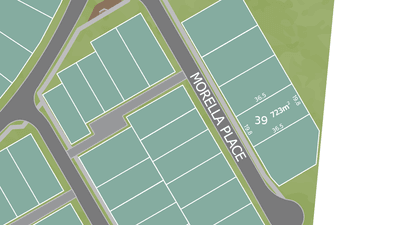 /international/au/lot-39-morella-place-bohle-plains-qld-204334792/