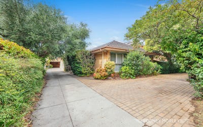 /international/au/220-kooyong-road-caulfield-vic-150902272/