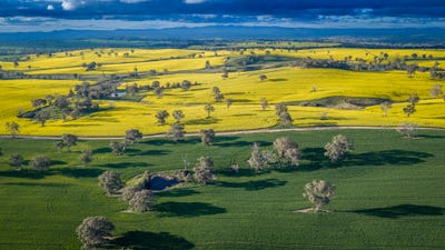 /international/au/91-kenny-s-lane-lyndhurst-nsw-700427348/